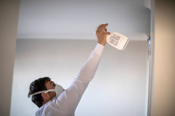Best Mold Remediation  in Saint Johns University, MN